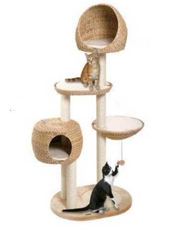 water hyacinth cat tree