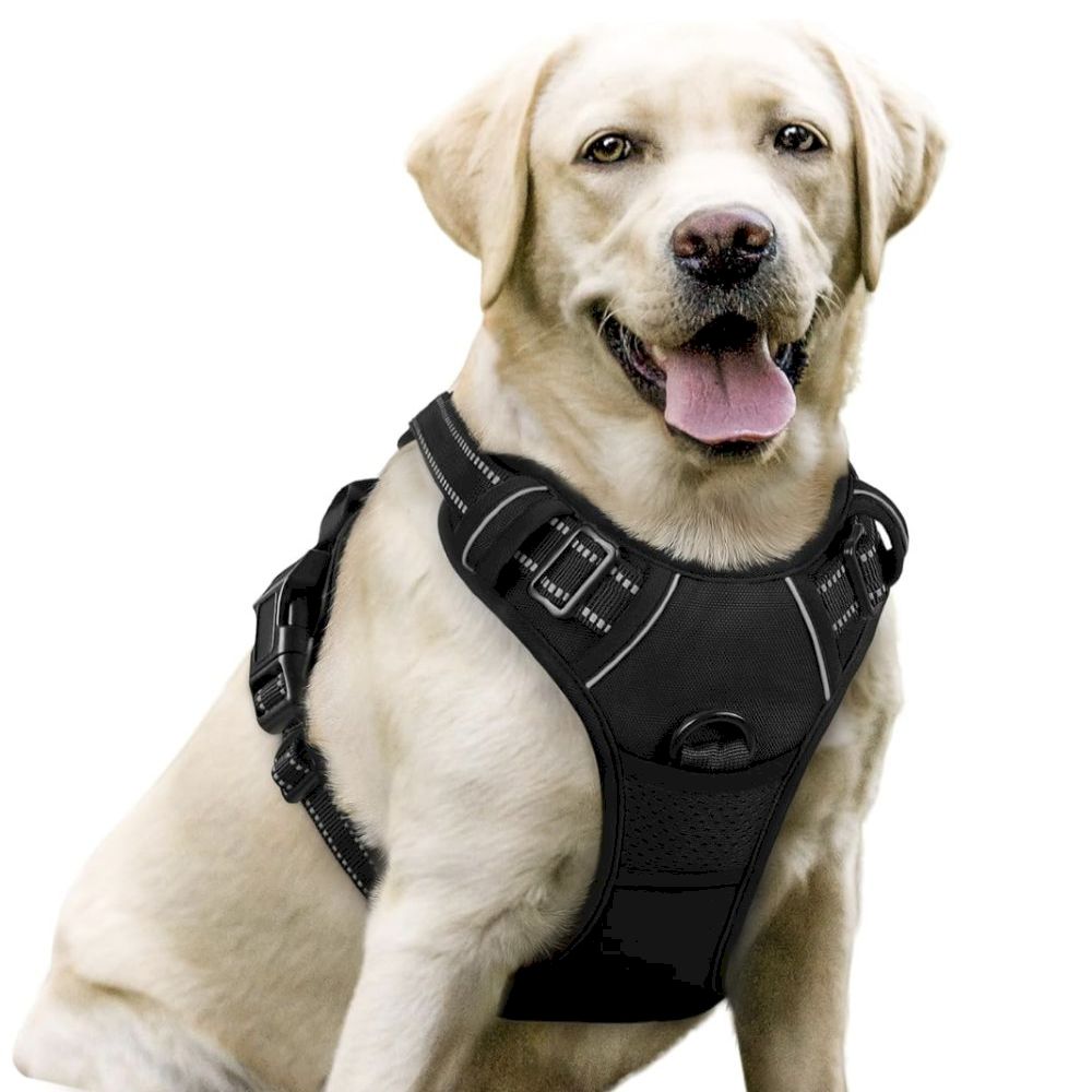 Dog Harness